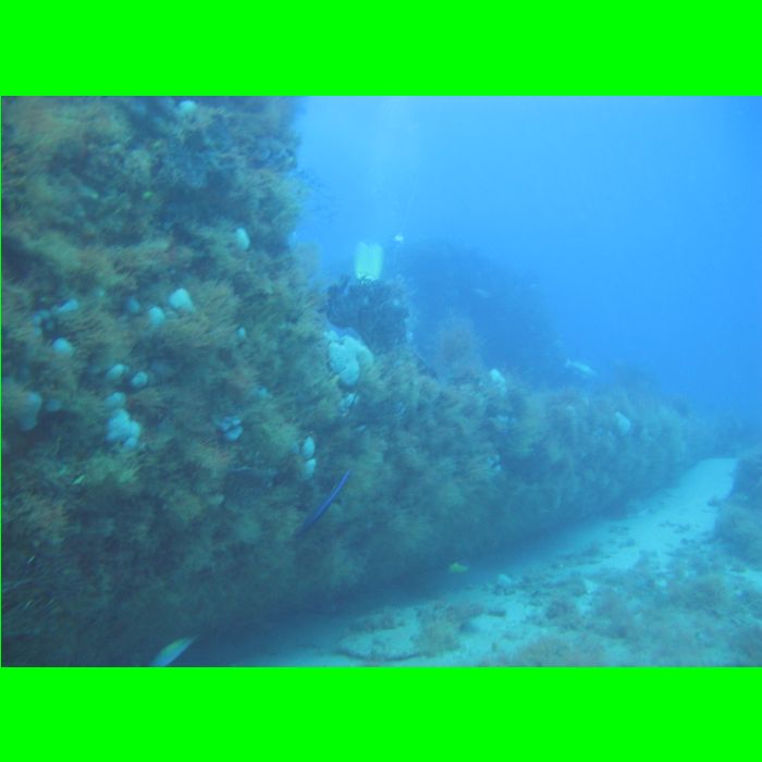 Dive WP Wrecks 25-Oct-09_368.JPG